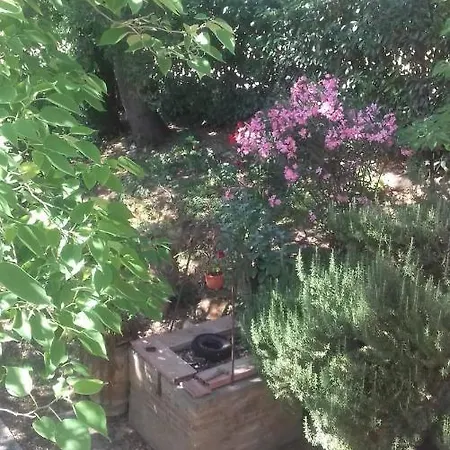 La Casa Di Lili